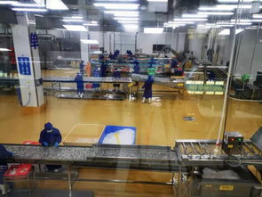 多圖首發！解密水產智能化工廠與文化館，探索未來水產新生態